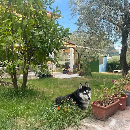 Capitan Libeccio - Il Boma Appartement *