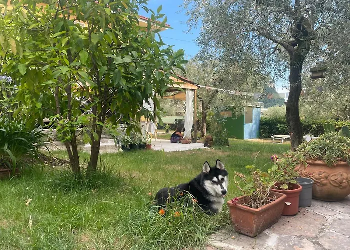 Capitan Libeccio - Il Boma Apartamento *